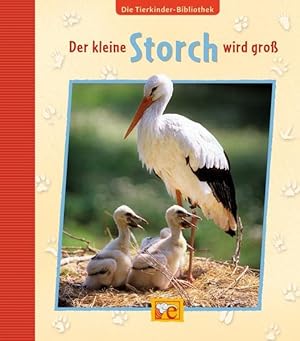 Image du vendeur pour Der kleine Storch wird gro [Red.: Corinna Kpper. Text und Konzept: Sandra Grimm. Fotos: Juniors Bildarchiv] mis en vente par Antiquariat Buchhandel Daniel Viertel