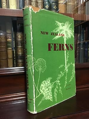 Image du vendeur pour New Zealand Ferns. mis en vente par Time Booksellers