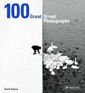 Immagine del venditore per 100 Great Street Photographs venduto da AHA-BUCH GmbH