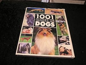 Seller image for 1001 Images of Dogs for sale by Yare Books