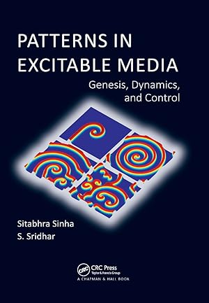 Image du vendeur pour Sinha, S: Patterns in Excitable Media mis en vente par moluna