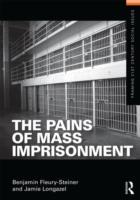 Immagine del venditore per Fleury-Steiner, B: The Pains of Mass Imprisonment venduto da moluna