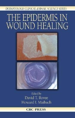 Immagine del venditore per EPIDERMIS IN WOUND HEALING venduto da moluna