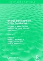 Imagen del vendedor de Energy Development in the Southwest a la venta por moluna