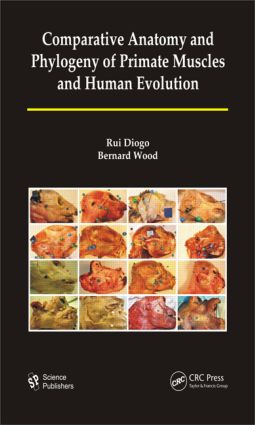 Seller image for Comparative Anatomy and Phylogeny of Primate Muscles and Human Evolution for sale by moluna