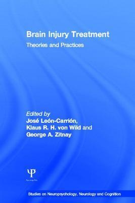 Seller image for Brain Injury Treatment for sale by moluna