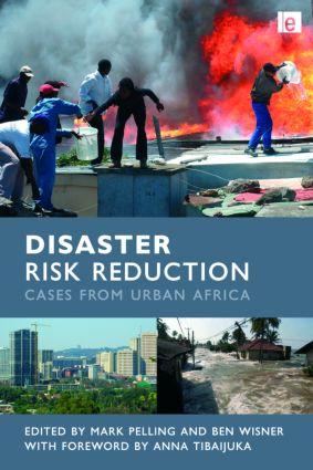 Seller image for Disaster Risk Reduction for sale by moluna