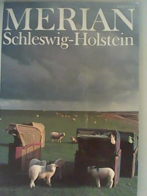 Seller image for Merian: Schleswig-Holstein, 46.Jg./Nr.7 for sale by ANTIQUARIAT FRDEBUCH Inh.Michael Simon