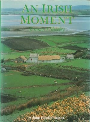 Seller image for Ireland. An irish moment - Terence J. Sheehy for sale by Book Hmisphres