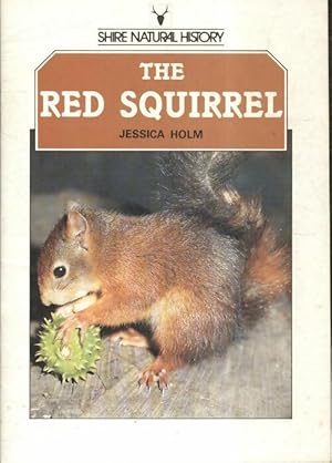 The red squirrel - Jessica Holm