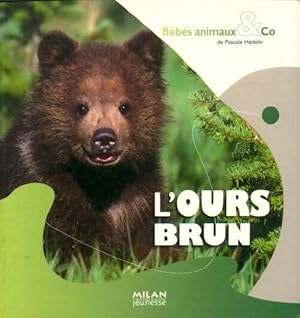Seller image for L'ours brun - Pascale H?delin for sale by Book Hmisphres
