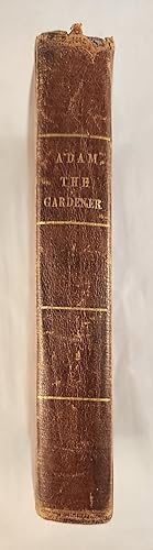 Bild des Verkufers fr Adam, The Gardener zum Verkauf von WellRead Books A.B.A.A.