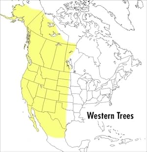 Imagen del vendedor de Field Guide to Western Trees (Paperback) a la venta por CitiRetail