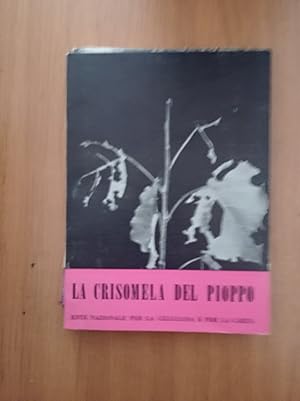 La crisomela del pioppo