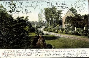 Ansichtskarte / Postkarte Freiberg in Sachsen, Partie im Albert Park mit Blick auf das Lindenhaus