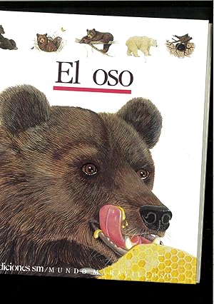 Seller image for El oso (Coleccion ""Mundo Maravilloso""/First Discovery Series) (Spanish Edition) for sale by Papel y Letras