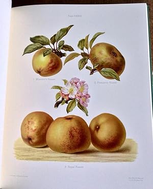 Seller image for THE HEREFORDSHIRE POMONA CONTAINING COLOURED FIGURES & DESCRIPTIONS OF THE MOST ESTEEMED KINDS OF APPLES & PEARS for sale by Elder Books
