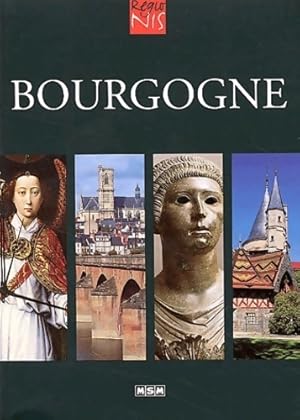 Imagen del vendedor de Bourgogne - Julie Roux a la venta por Book Hmisphres