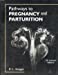 Seller image for Pathways to Pregnancy and Parturition for sale by Pieuler Store