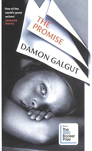 Seller image for The Promise for sale by M Godding Books Ltd
