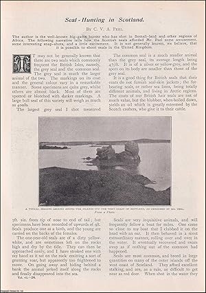 Imagen del vendedor de Seal Hunting in Scotland. An uncommon original article from the Wide World Magazine 1901. a la venta por Cosmo Books