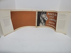 Black, Bay and Chestnut, Profiles of Twenty Favorite Horses