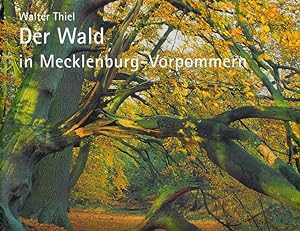 Bild des Verkäufers für Der Wald in Mecklenburg-Vorpommern zum Verkauf von Studibuch