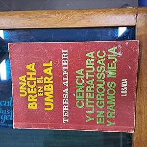 Immagine del venditore per Una brecha en el umbral venduto da Libros nicos