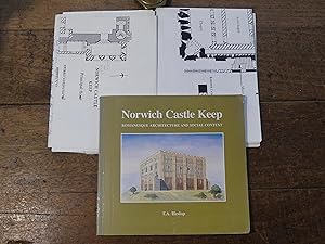 Norwich Castle Keep Romanesque Architecture and Social Context