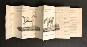 Image du vendeur pour Le vtrinaire domestique,. Ou l'art de gurir soi-mme ses chevaux. traduit de l'anglais sur la 21 dition, par P.-L. Prtot. mis en vente par Librairie Devaux