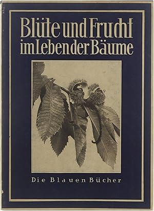 Immagine del venditore per Blte und Frucht im Leben der Bume : fnfundneunzig Aufnahmen mit einfhrendem Text und Erluterungen venduto da Untje.com