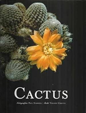 Seller image for CACTUS (TAPA DURA) for sale by Libro Inmortal - Libros&Co. Librera Low Cost