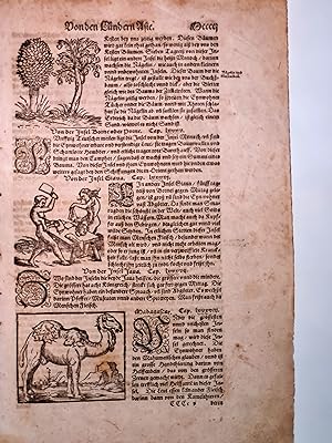 Einzelblatt *Von den Ländern Asie* aus der Cosmographia, deutsche Ausgabe um 1580.