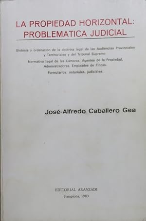 Immagine del venditore per La propiedad horizontal problemtica judicial venduto da Librera Alonso Quijano