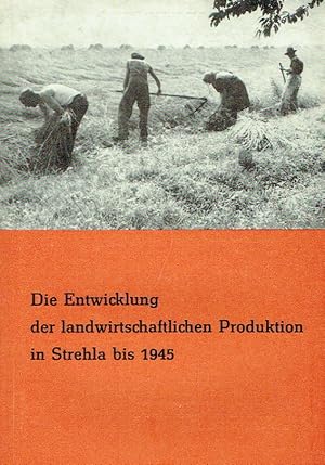 Die Entwicklung der landwirtschaftlichen Produktion in Strehla bis 1945
