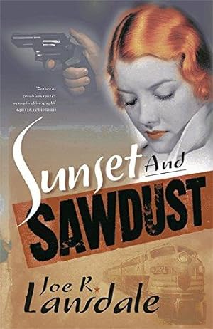 Immagine del venditore per Sunset and Sawdust venduto da WeBuyBooks