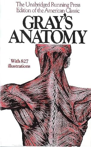 Seller image for Anatomy, Descriptive and Surgical, 1901 Edition for sale by Reliant Bookstore