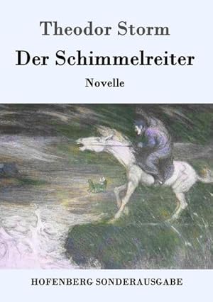 Imagen del vendedor de Der Schimmelreiter: Novelle a la venta por Rheinberg-Buch Andreas Meier eK