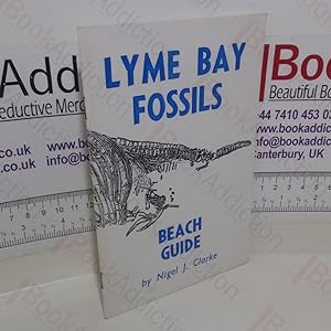 Lyme Bay Fossils: Beach Guide