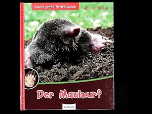 Seller image for Der Maulwurf. Meine groe Tierbibliothek. for sale by Antiquariat Bookfarm