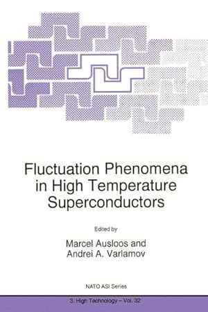 Seller image for Fluctuation Phenomena in High Temperature Superconductors for sale by BuchWeltWeit Ludwig Meier e.K.