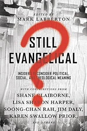 Seller image for Still Evangelical? Insiders Reconsider Political, Social, and Theological Meaning for sale by WeBuyBooks
