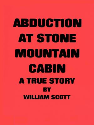 Seller image for Abduction at Stone Mountain Cabin (Paperback or Softback) for sale by BargainBookStores