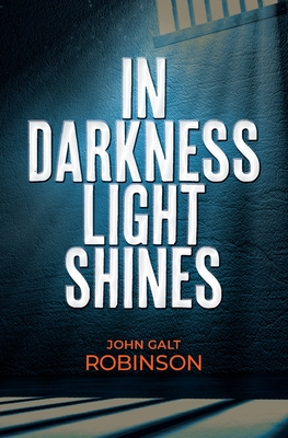 Bild des Verkufers fr In Darkness Light Shines (Paperback or Softback) zum Verkauf von BargainBookStores