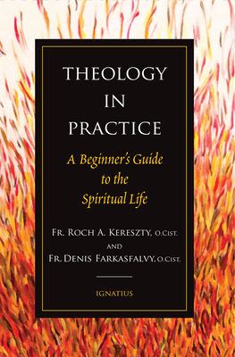 Image du vendeur pour Theology in Practice: A Beginner's Guide to the Spiritual Life (Paperback or Softback) mis en vente par BargainBookStores