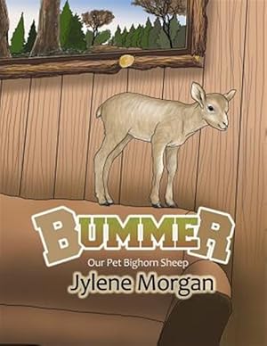 Imagen del vendedor de Bummer: Our Pet Bighorn Sheep a la venta por GreatBookPrices