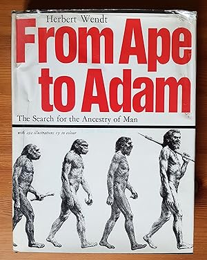 From Ape to Adam; The Search for the Ancestry of Man