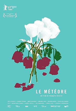 2012 Contemporary Movie Poster - Le Meteore, film by Francois Delisle