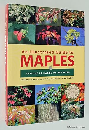 Bild des Verkufers fr An Illustrated Guide to Maples. zum Verkauf von Antiquariat Lycaste