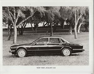 Imagen del vendedor de 1988 Jaguar XJS sedan in profile on country greensward photo a la venta por The Jumping Frog